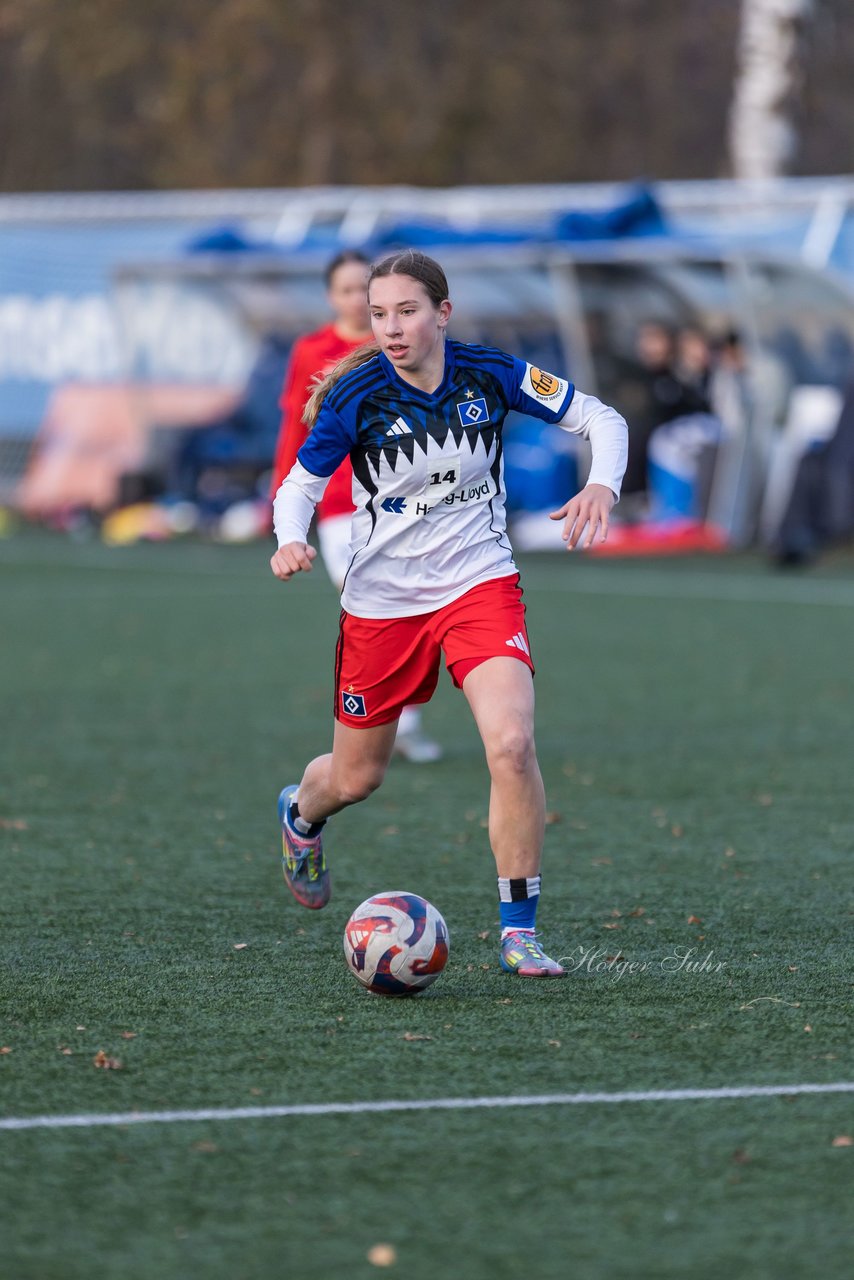 Bild 377 - wBJ Hamburger SV - Holstein Kiel : Ergebnis: 8:0